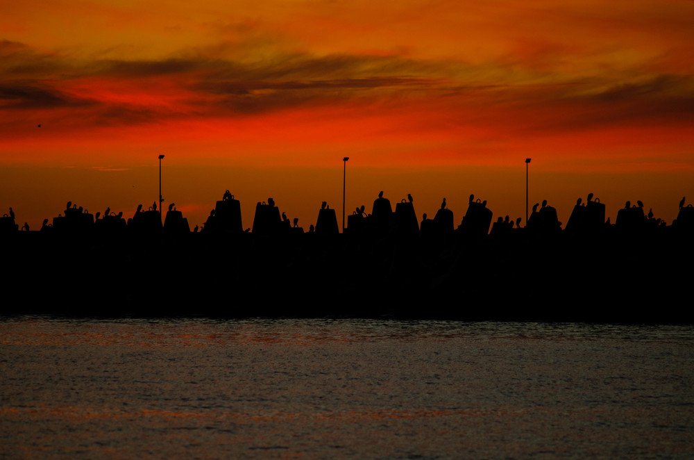 Призраки заката