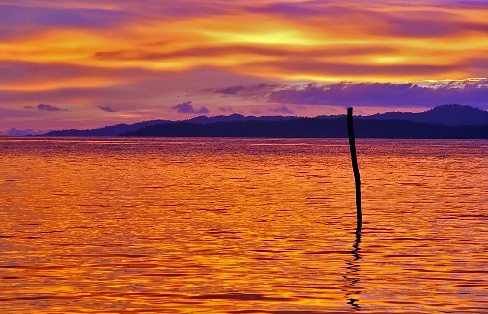 Последний бал уходящего дня