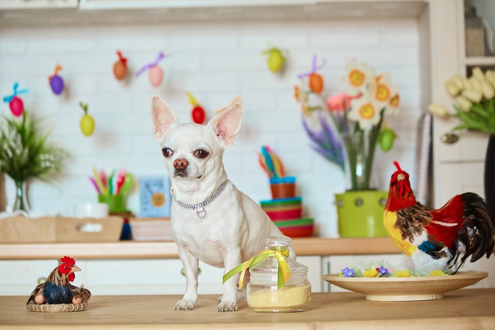 Пасхальное настроение