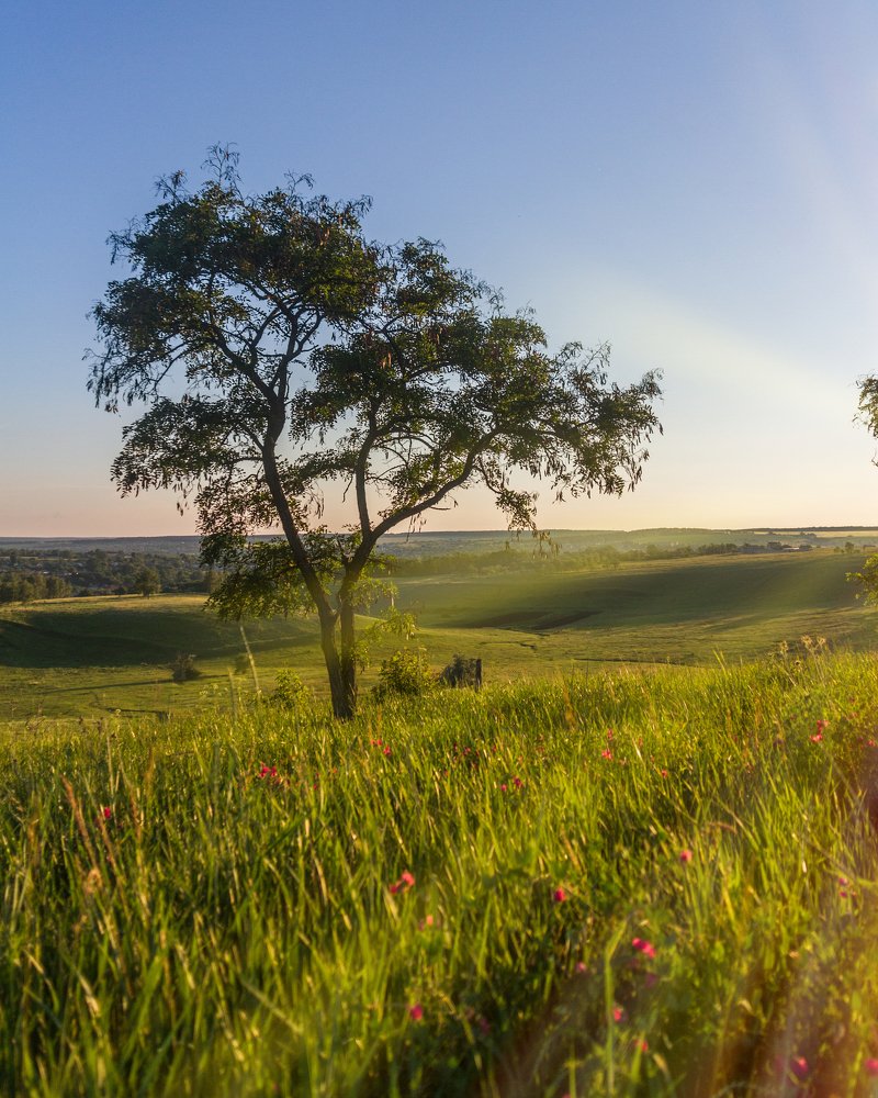 Одинокий взгляд на закат...
