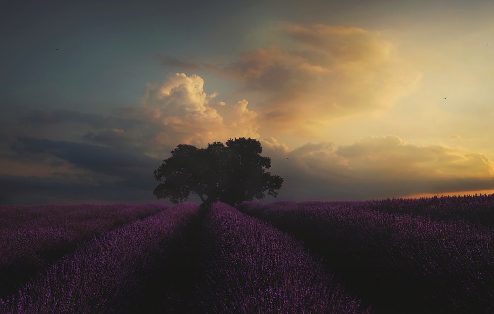 Закат в Валенсоле