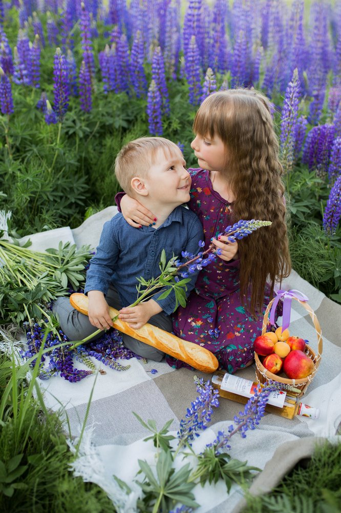 Люпиновый пикник