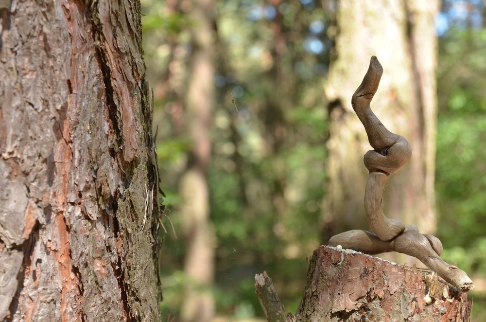 "Мы с тобой, одной крови!""