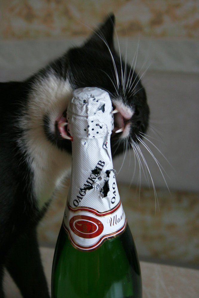 Жажда ничто...