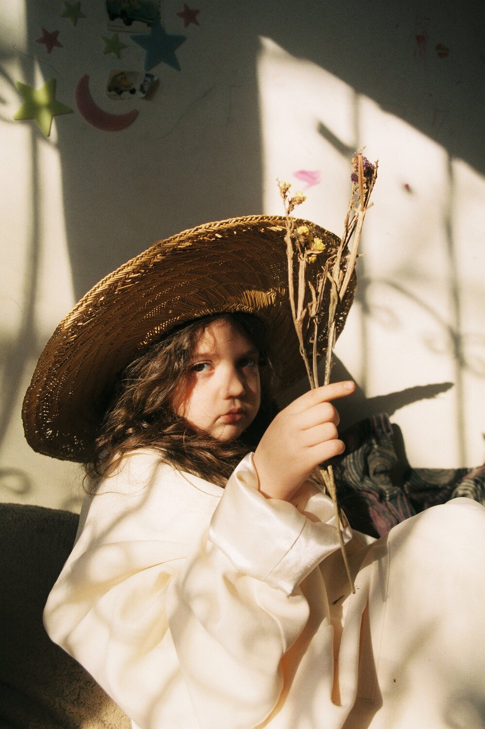 Photo #3274188