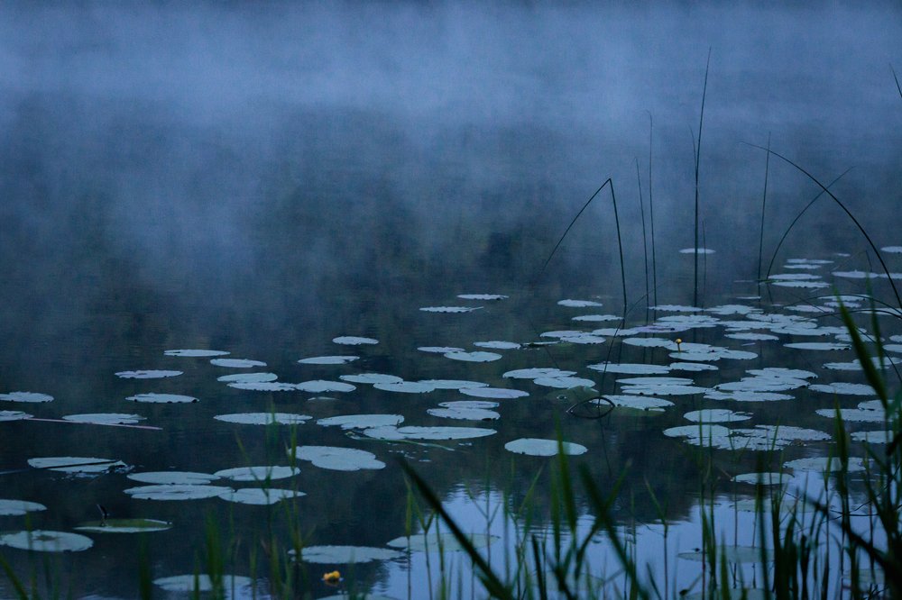 Photograph by Ксения Гербек