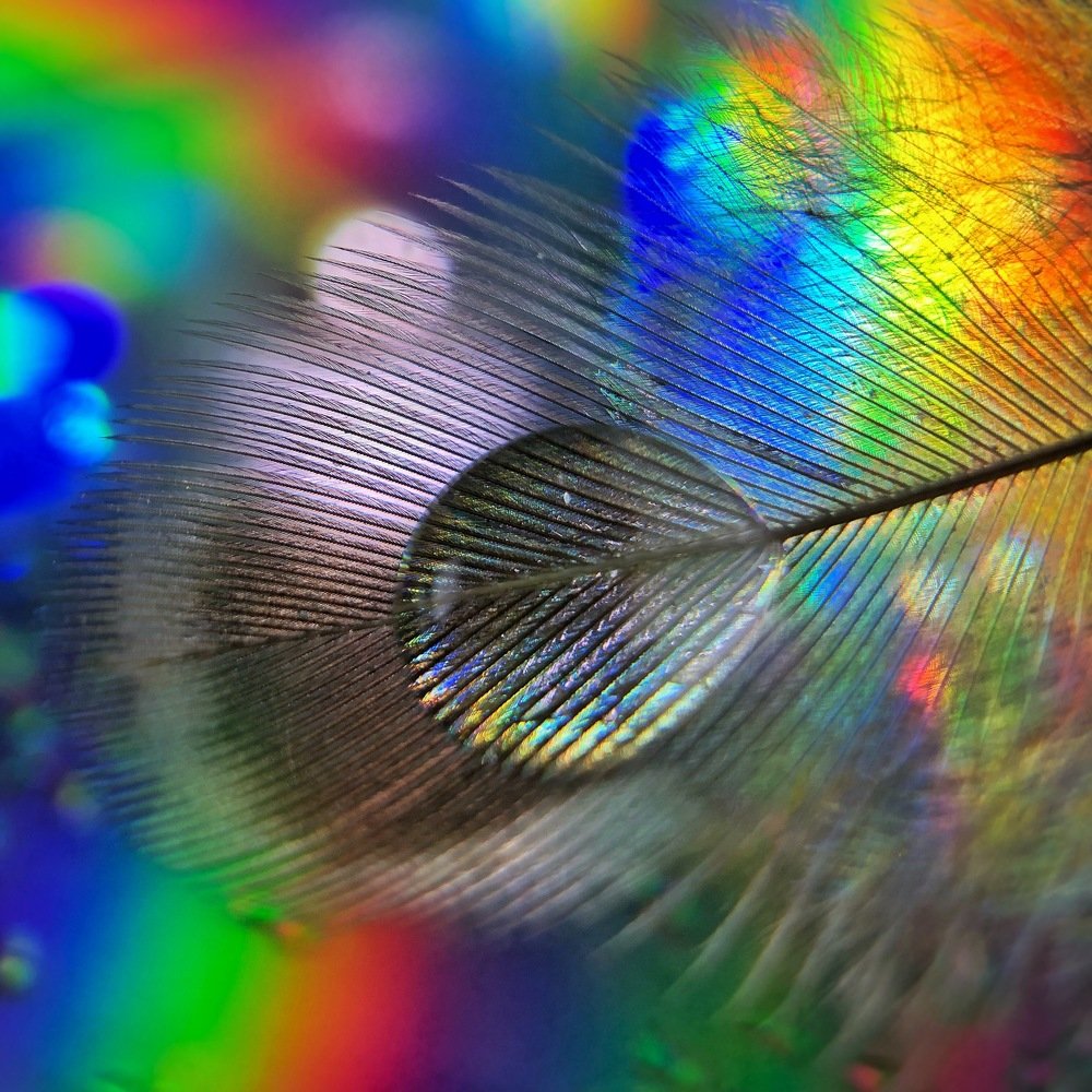 Мобильное макро