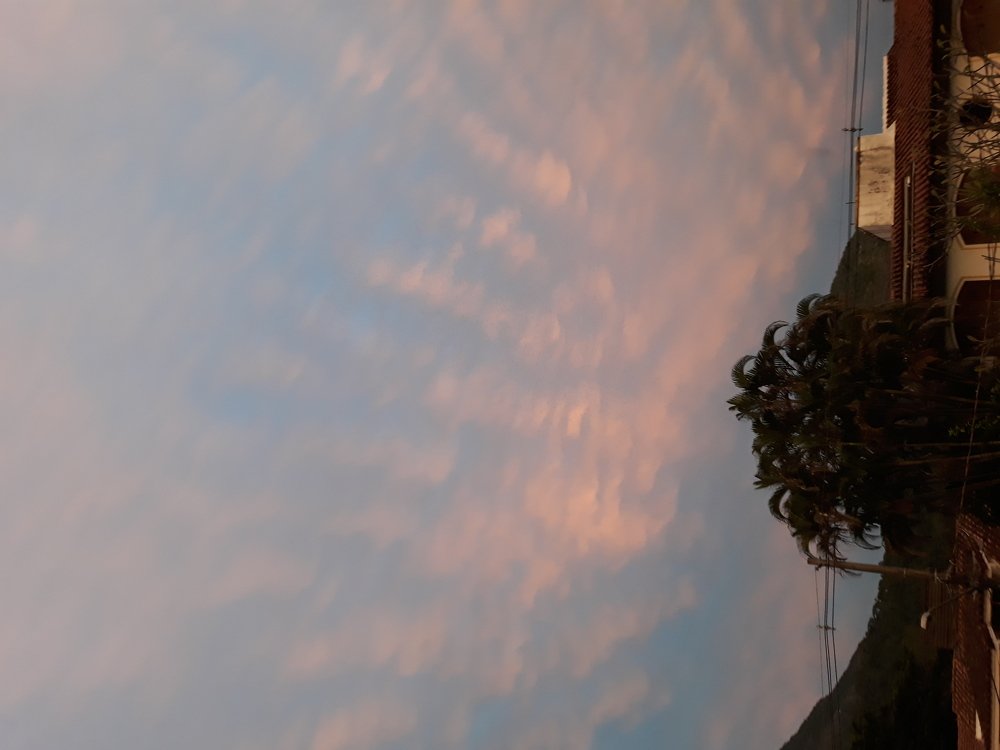 A mão da Natureza