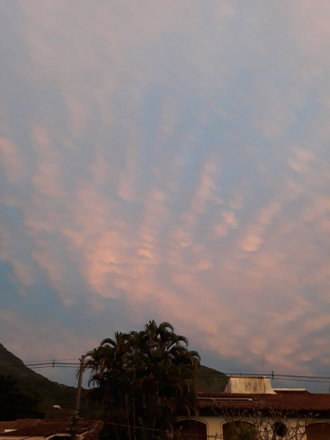 A mão da Natureza