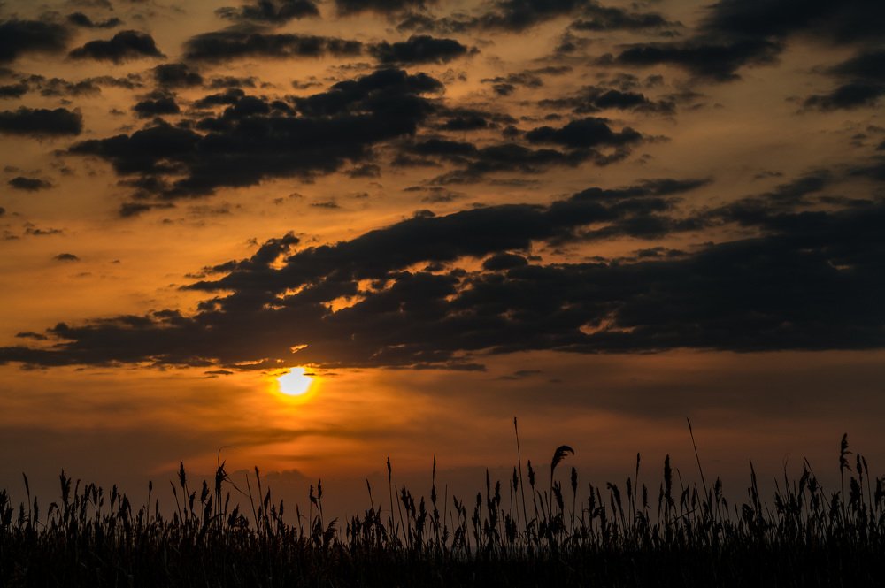 Photograph by Сергей Гокк