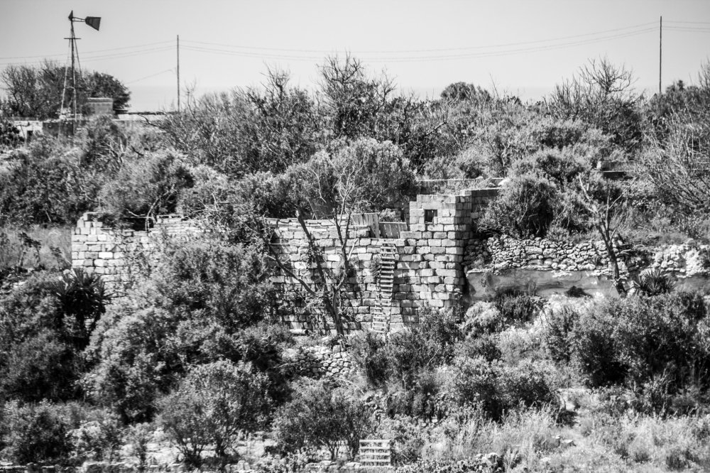 Old farm