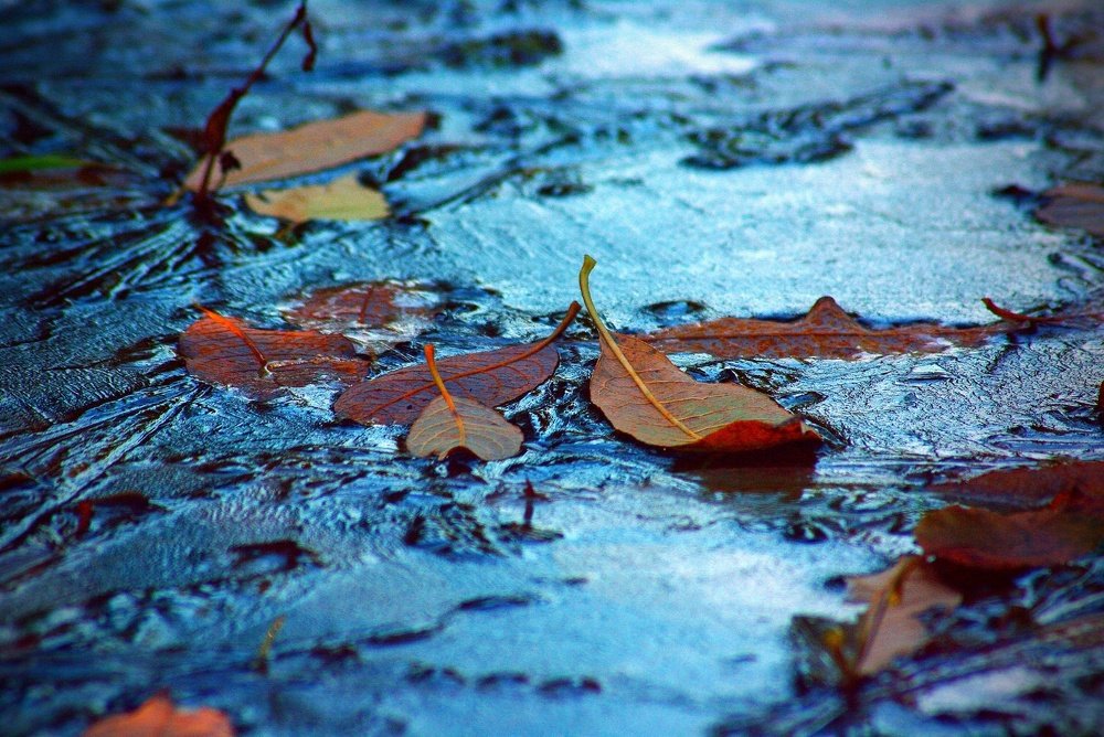 November.  Ноябрь.