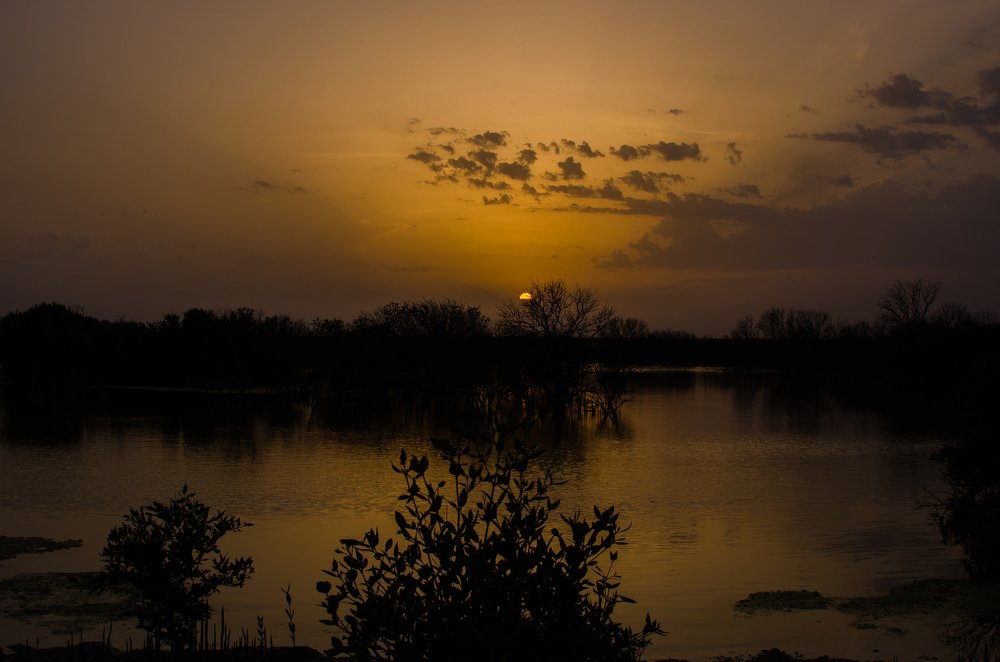 Northern region of Qatar