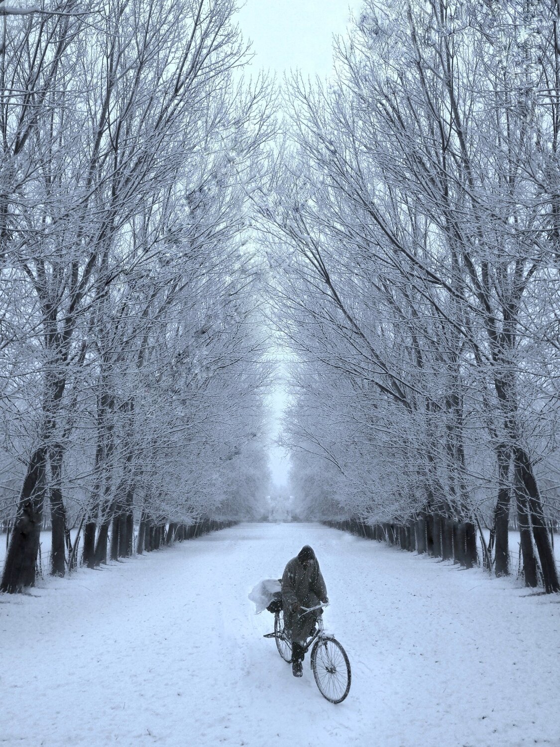Life in Winter