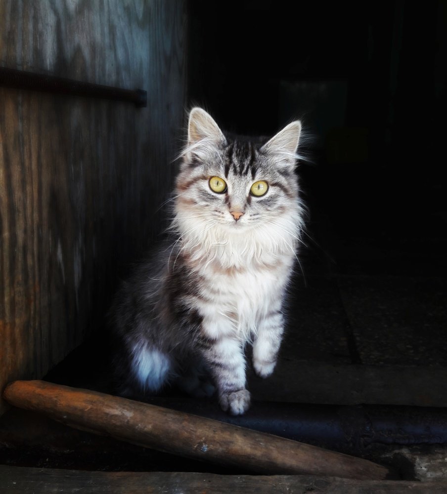 Photograph by Сергей Рязанов