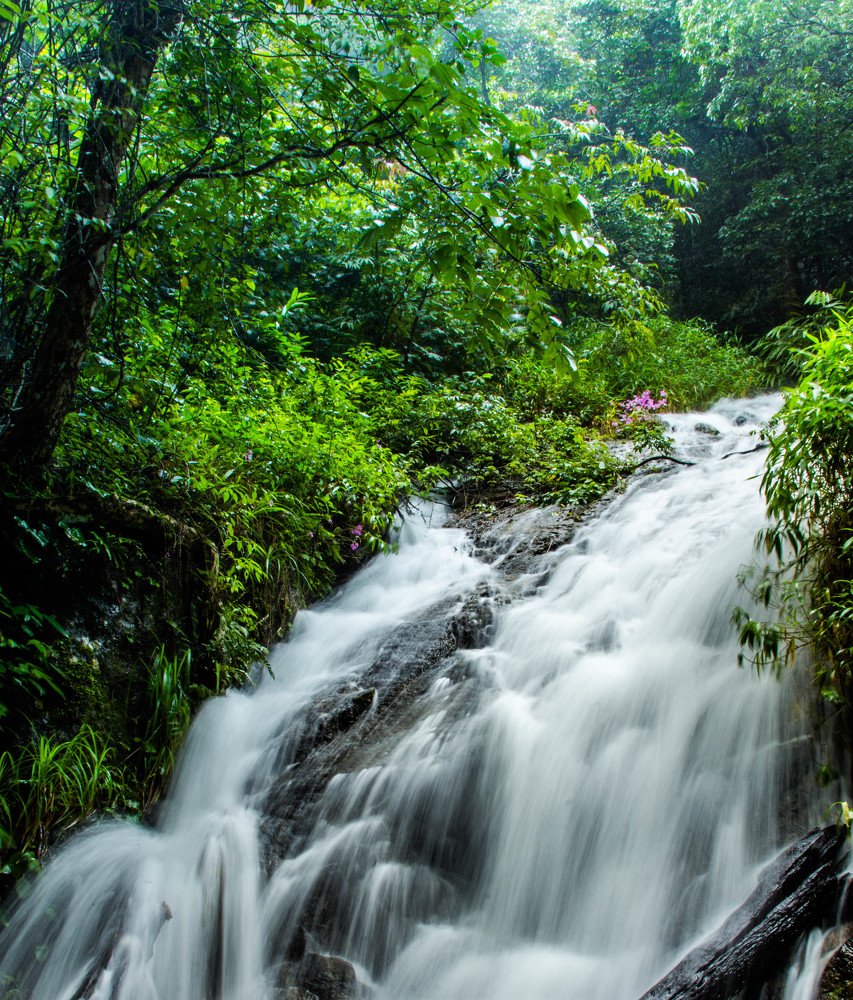 On the way to Silent Valley