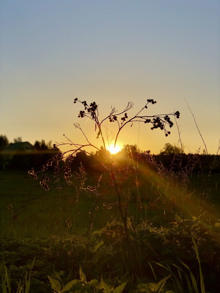 Photograph by Ольга Харлан