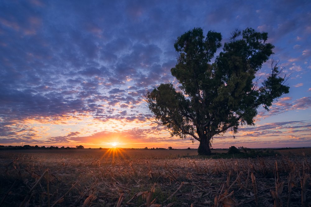 Sunset en campo de entre rios
