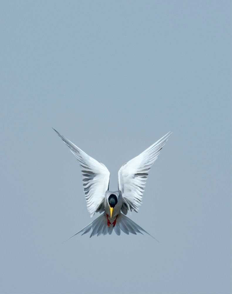 NAMASTE ( GREETINGS)