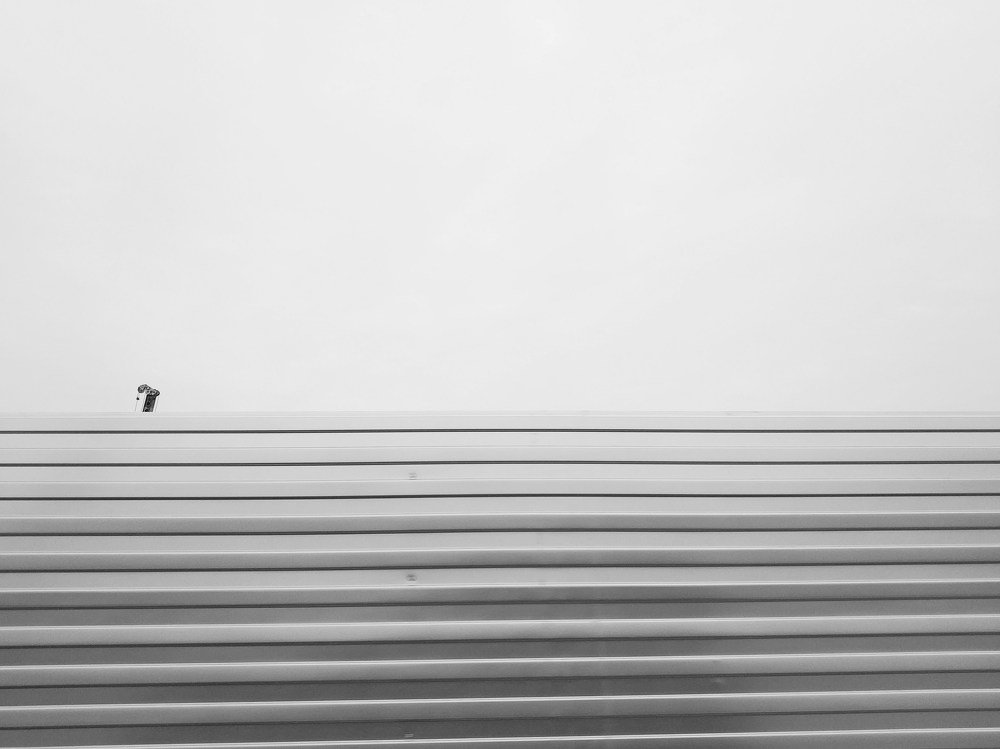 Photo #3274727