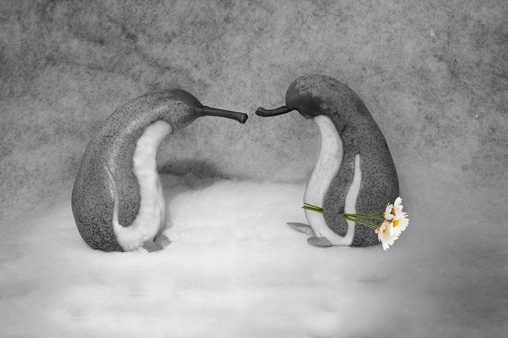 Photograph by Игорь Дубровский