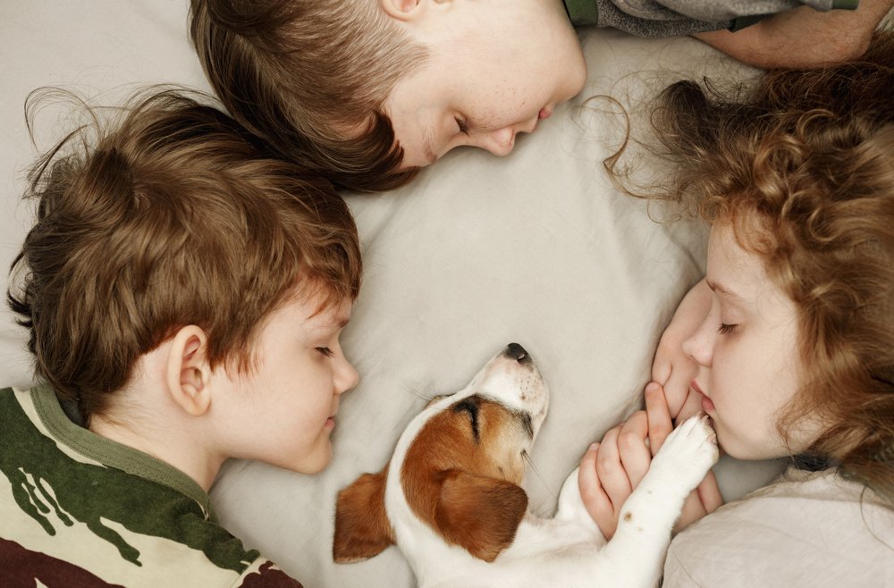 Лучшие друзья