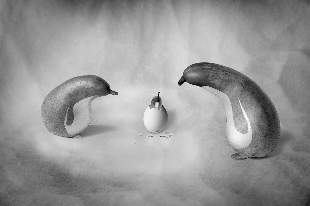 Photograph by Игорь Дубровский