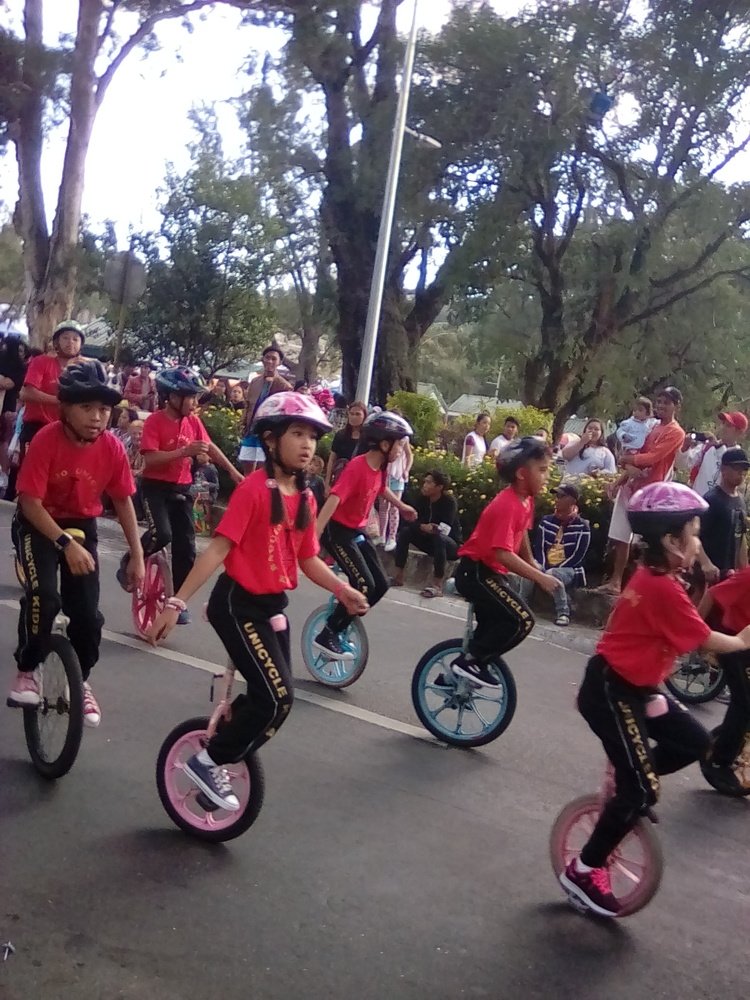 Monocyclists (2019 Chinese Lunar New Year of the Pig Parade)