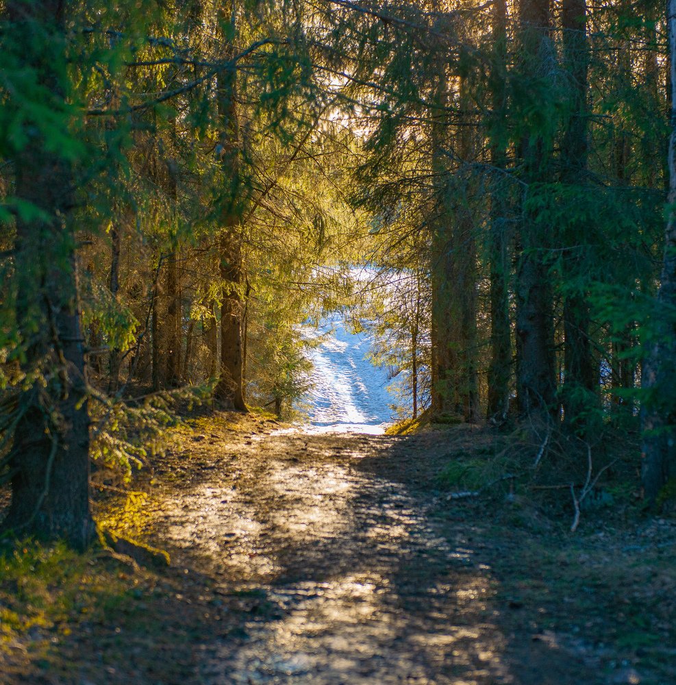 Весна идёт !!!