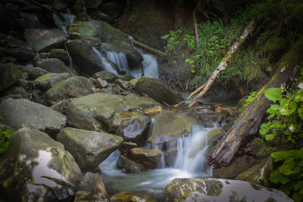 Photograph by Ольга