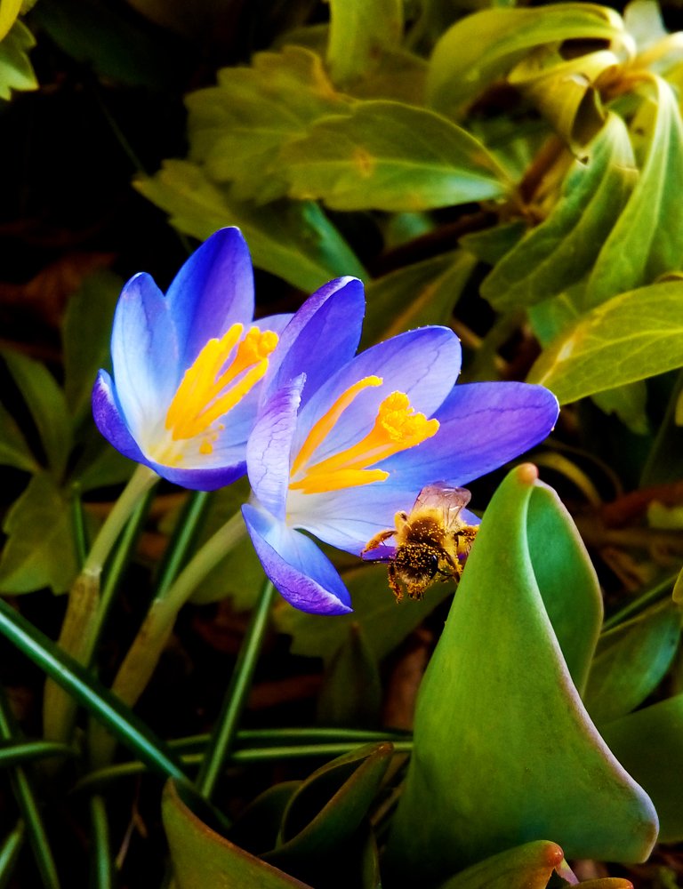 Let's go on an adventure