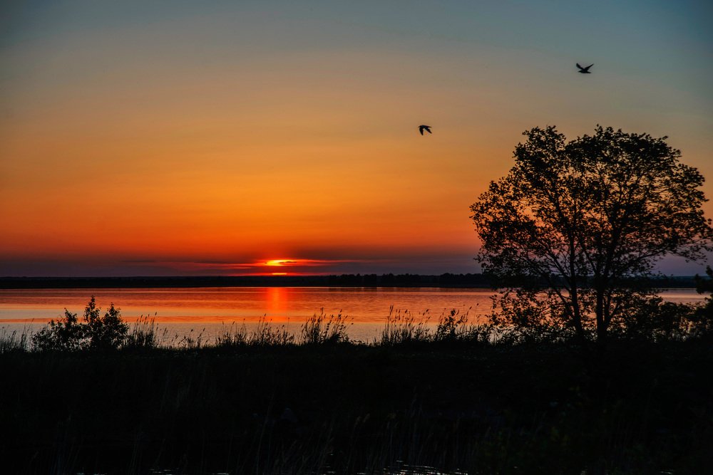 Красный закат