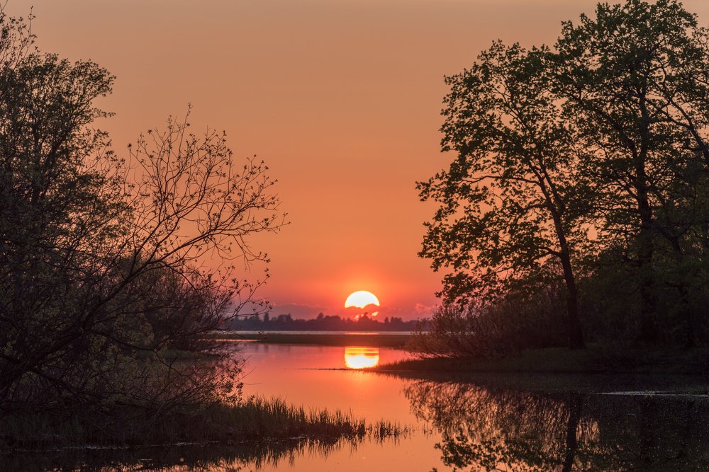 Закат на ручье