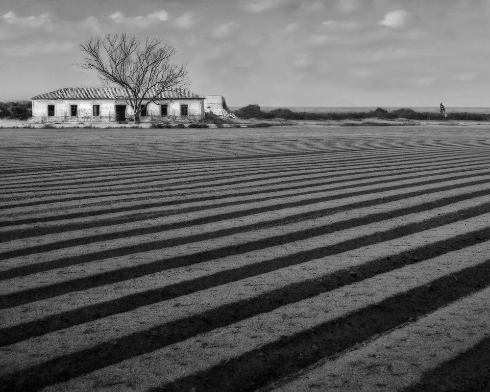 Пешеходный переход