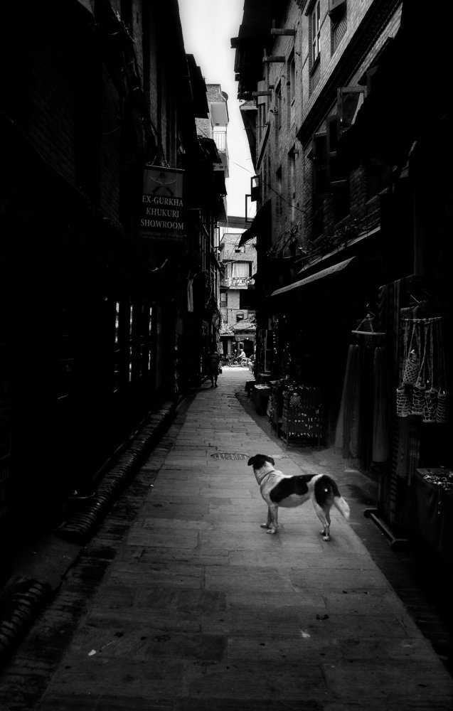 Waiting for owner …