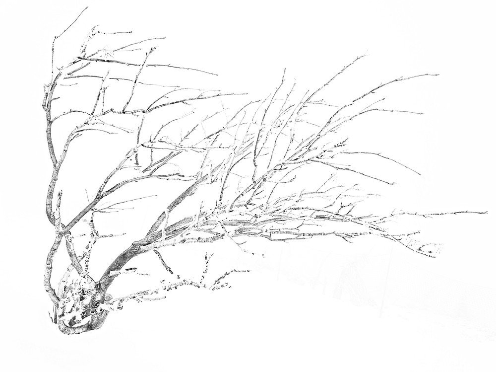 Photograph by Marcin Sokolowski - maarew