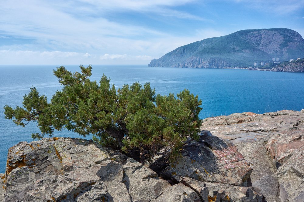 Крым весной