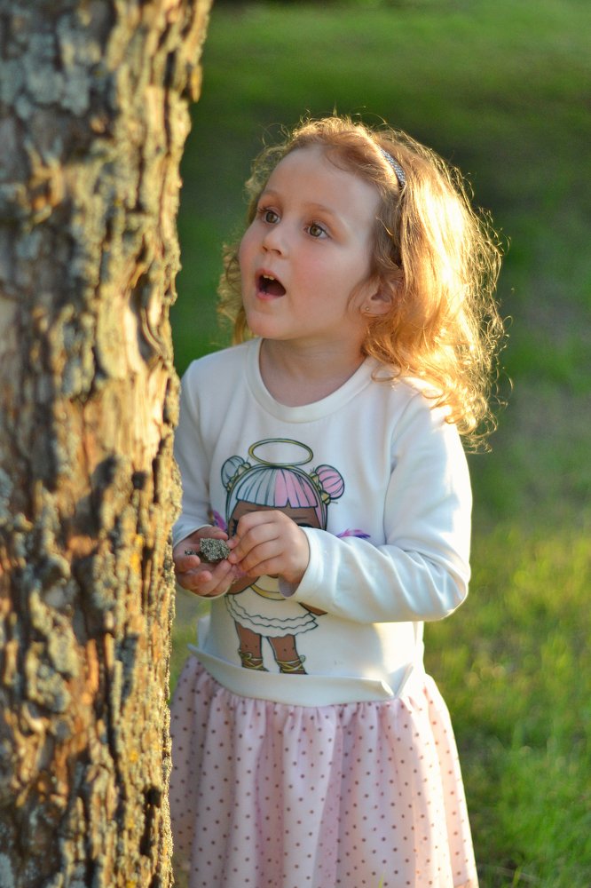 Кто же там сидит ?