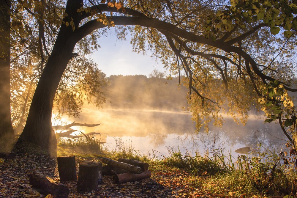 Осенний рассвет