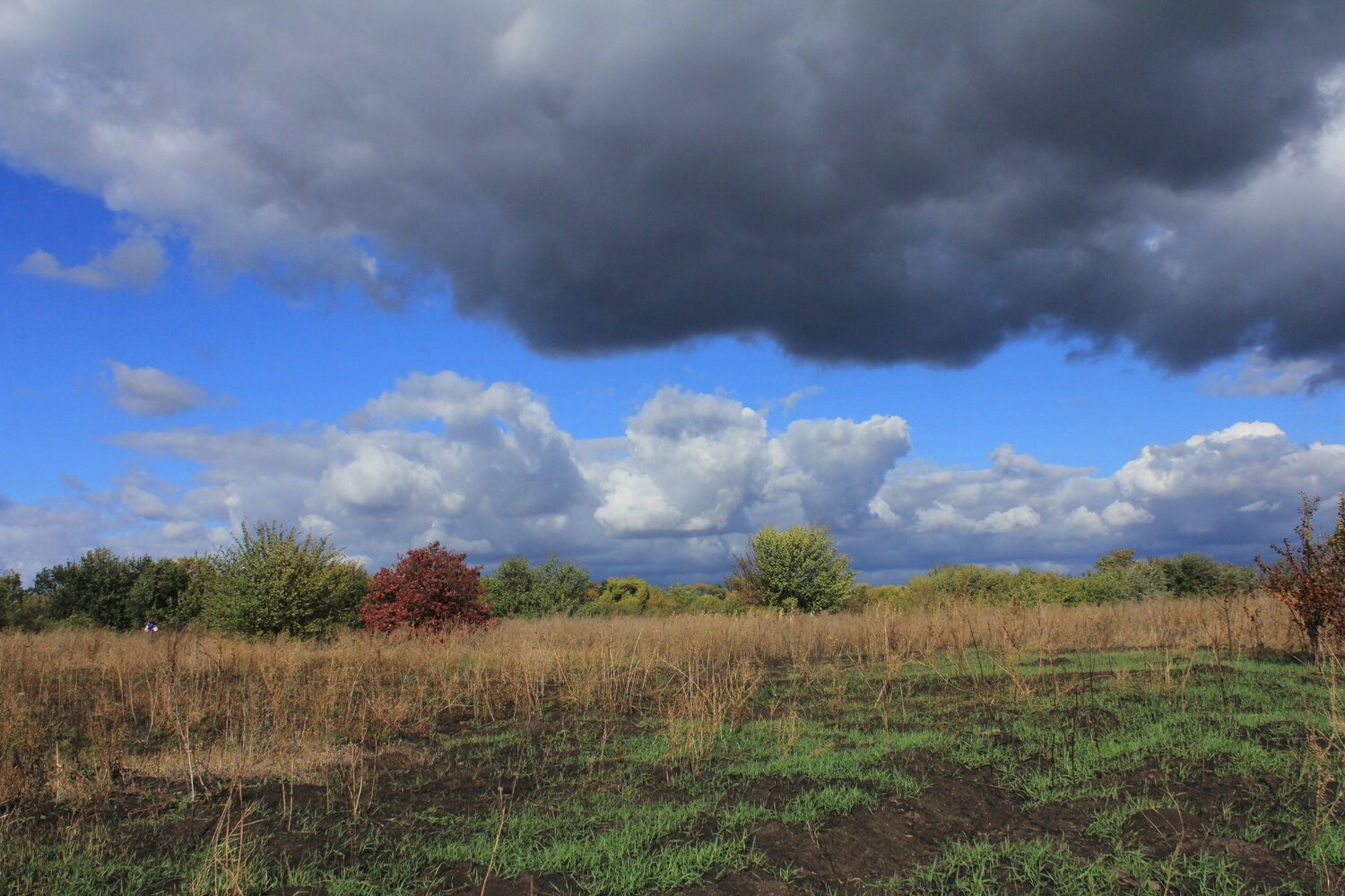 Photo #3275886