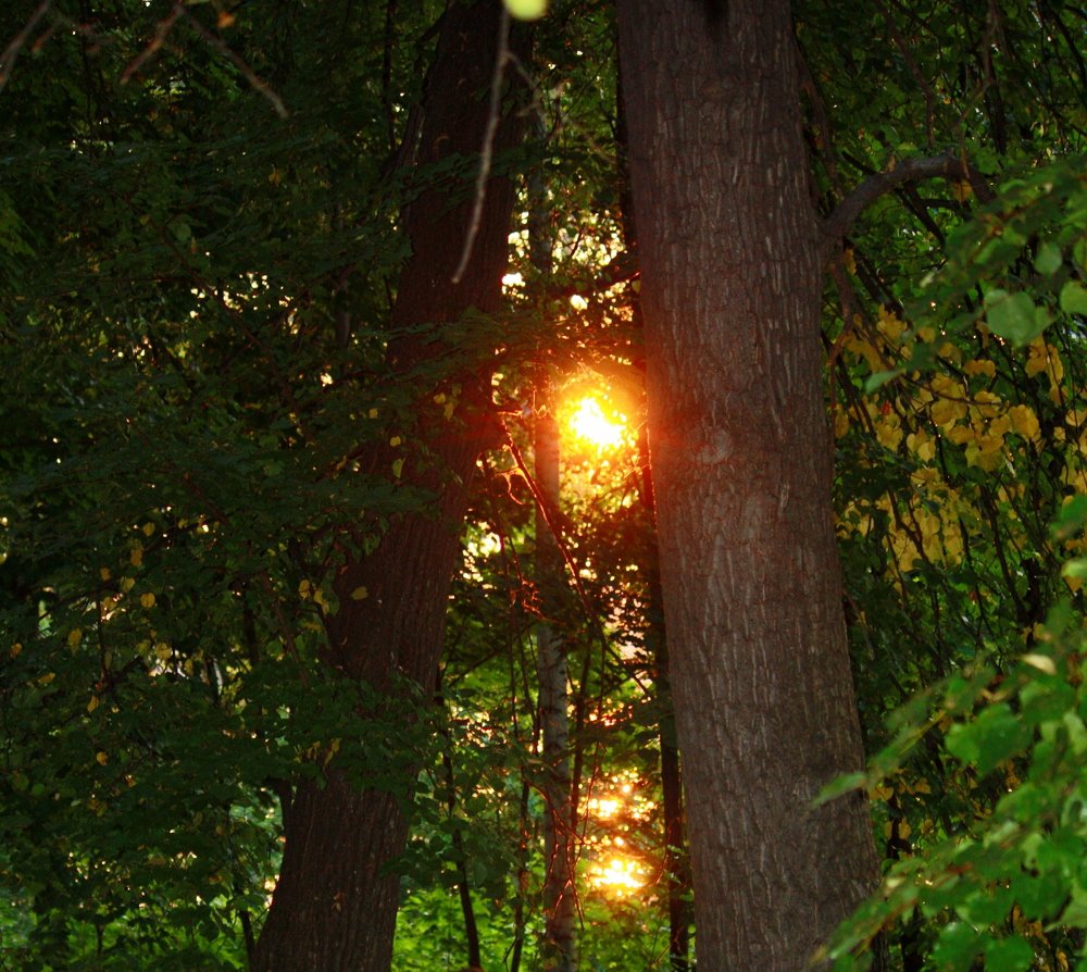 Photograph by Ольга Павлова