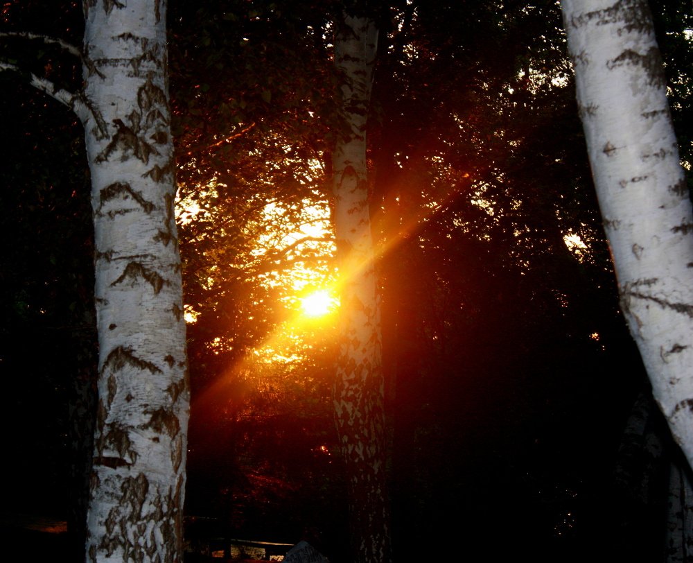 Вечерний отблеск