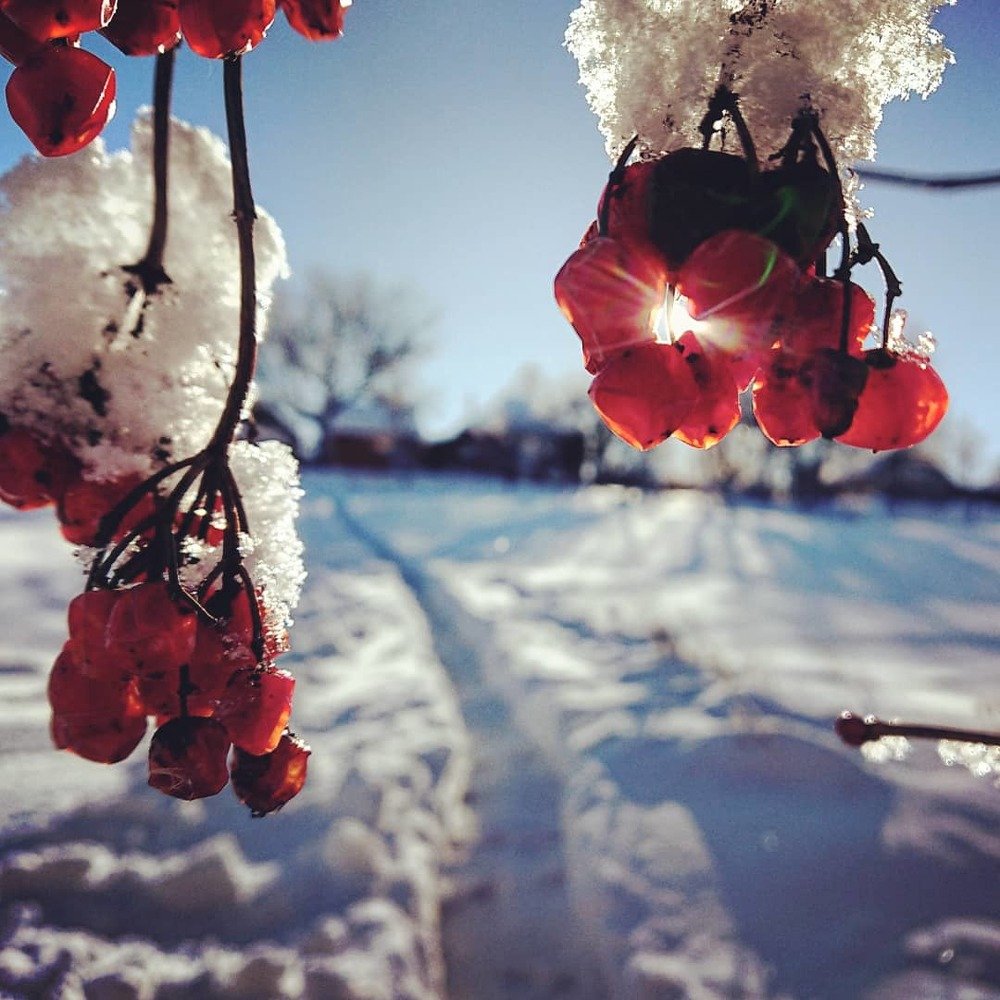 Photograph by Алексей Бессонов