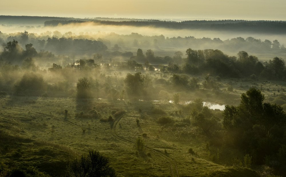 Таинственный рассвет в тумане над рекой.