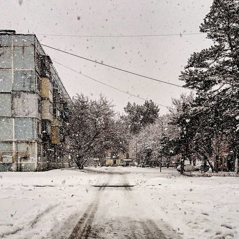 Первый снег