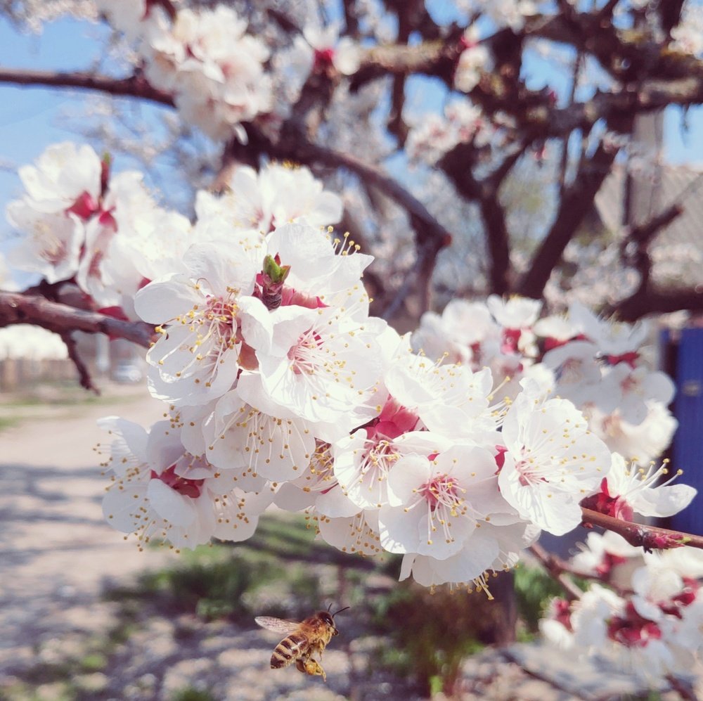 Маленькая труженица