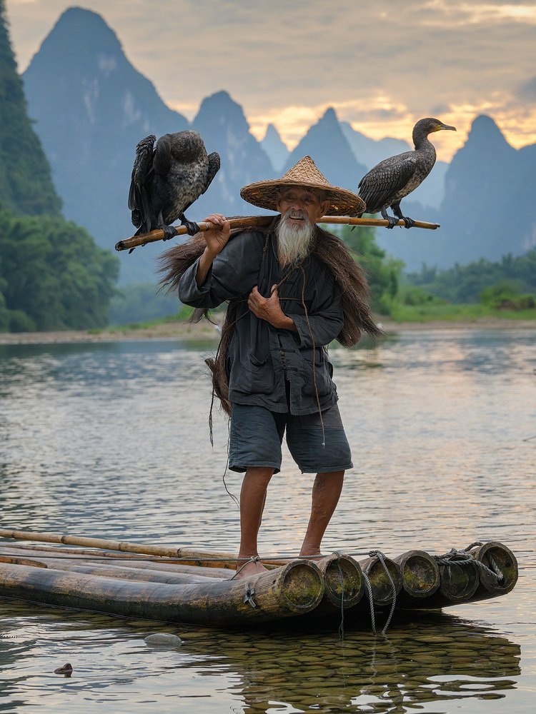 Старик и бакланы