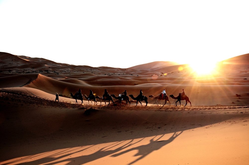 Photograph by Adrian Pablo Rosati