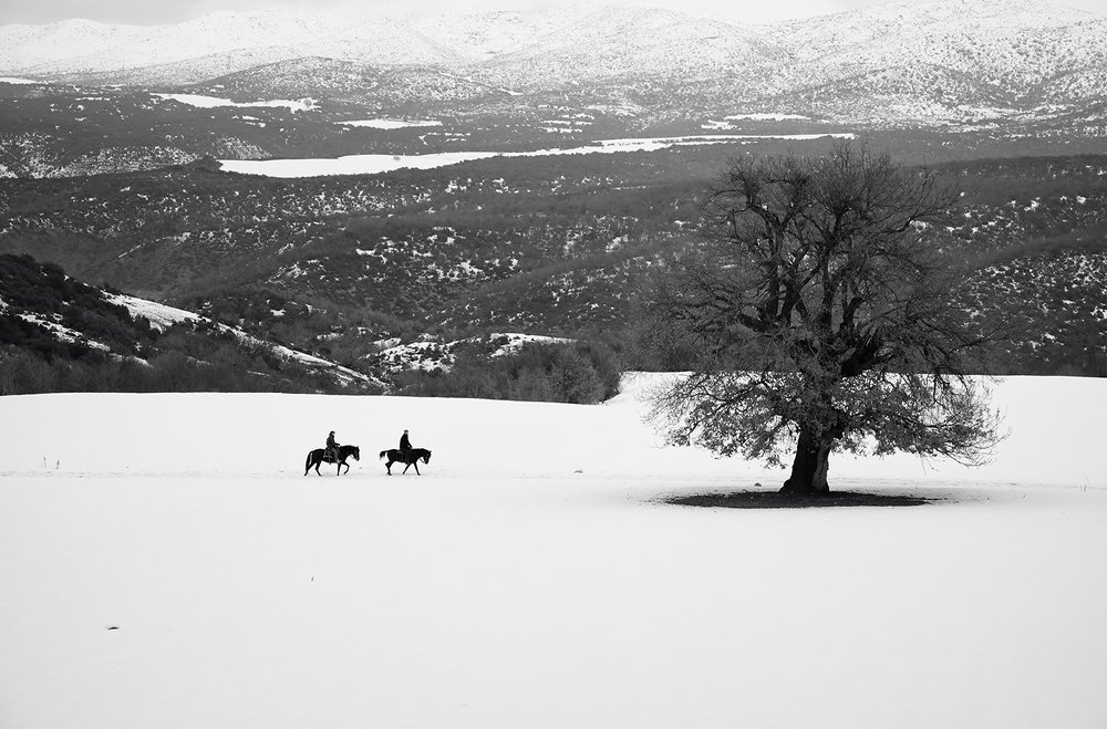 Photograph by Dimitris Vavliaras