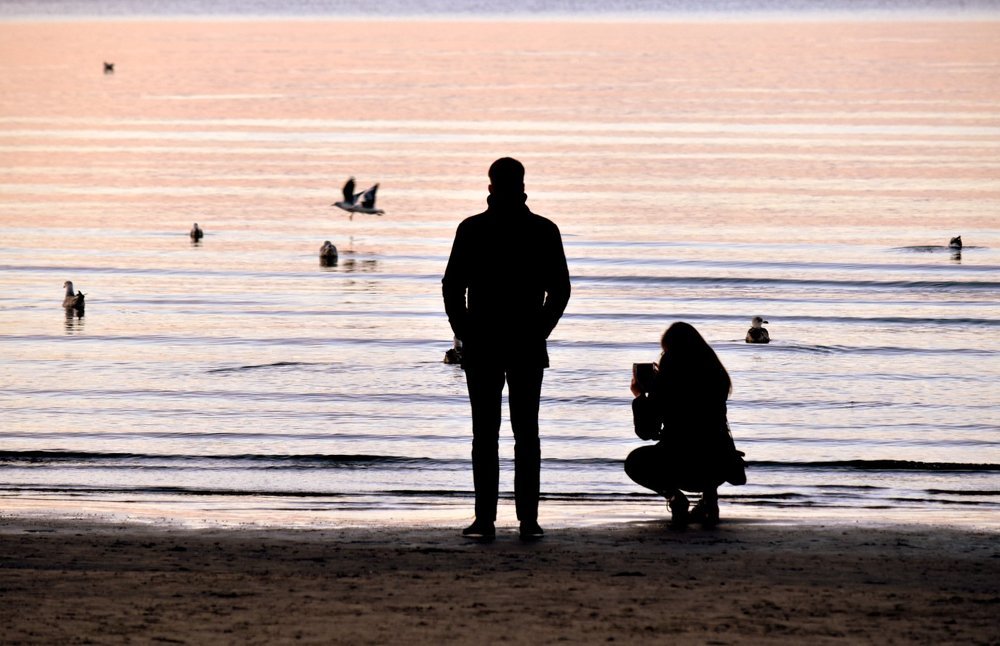 Seagulls interesting to photograph at sunset / Чаек интересно фотографировать на закате
